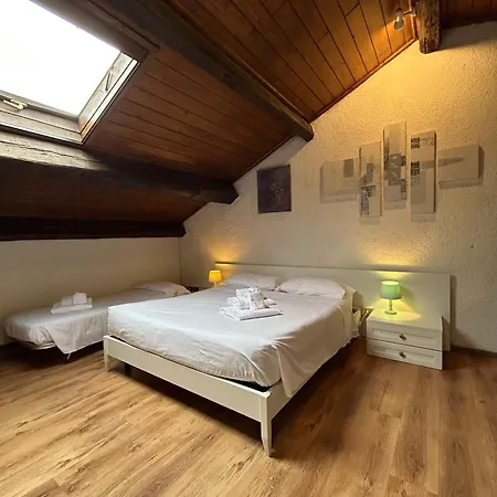 ディモーラ '800 3*