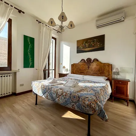 ディモーラ '800 3*